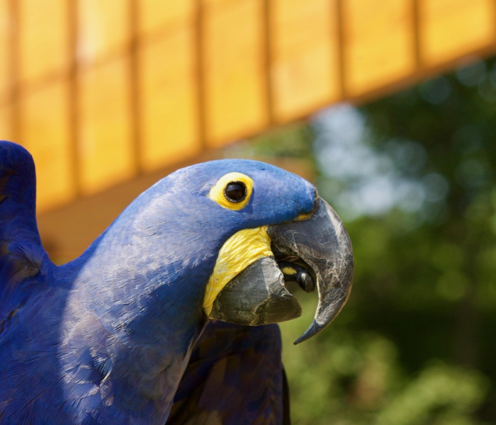 甘肃兰州疫情最新动态实时:甘肃兰州疫情况 甘肃兰州疫情最新动态实时:甘肃兰州疫情况