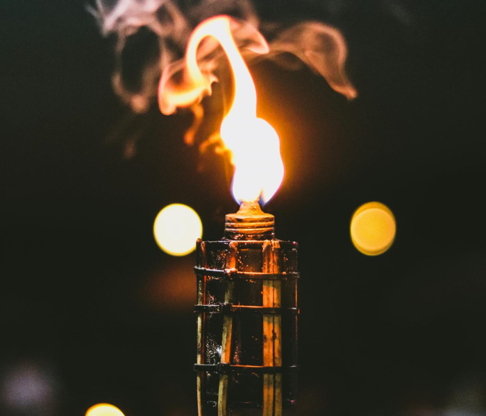 火炬之光2弓箭加点怎么加/火炬之光2普通攻击 火炬之光2弓箭加点怎么加/火炬之光2普通攻击