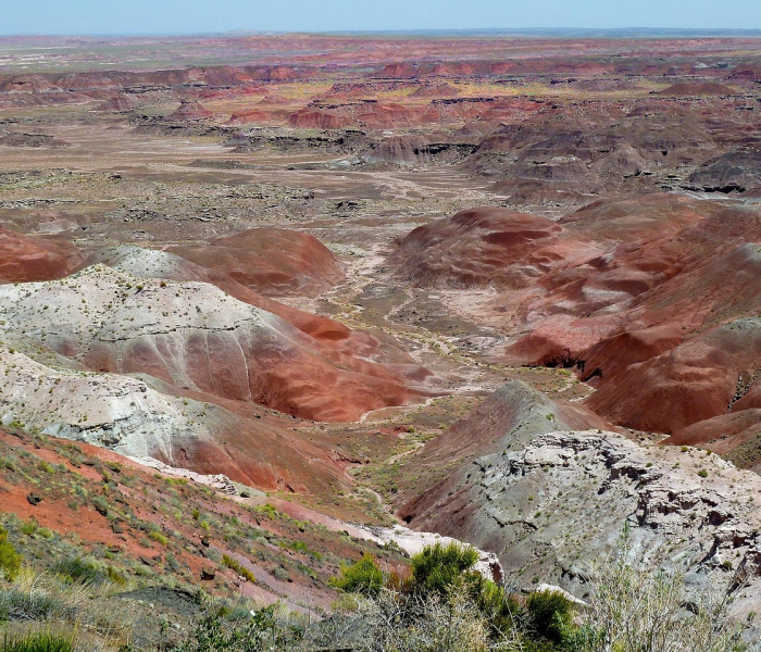西安疫情是不是严重了/西安疫情到底有多严重 西安疫情是不是严重了/西安疫情到底有多严重