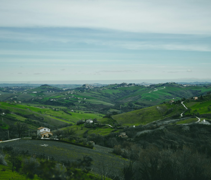 河南省上蔡县文楼村AIDS:上蔡县文楼乡 河南省上蔡县文楼村AIDS:上蔡县文楼乡