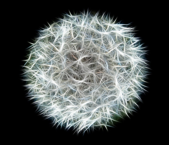 法国发现新冠病毒新毒株/法国新型病毒 法国发现新冠病毒新毒株/法国新型病毒