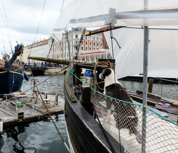 免费k3k捕鱼辅助/捕鱼辅助器免费 免费k3k捕鱼辅助/捕鱼辅助器免费