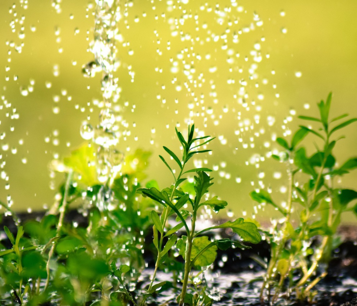 【清明节是不是四月五日/清明节是4月5日前后吗】 【清明节是不是四月五日/清明节是4月5日前后吗】