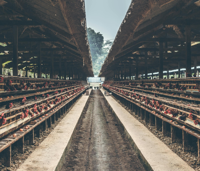 马来西亚高风险地区/马来西亚 重点疫区 马来西亚高风险地区/马来西亚 重点疫区