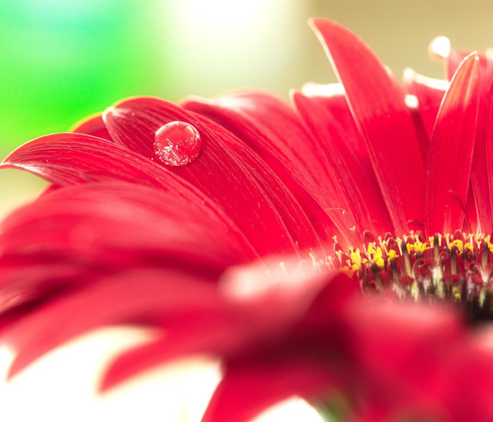 9月5日是什么日子好不好:9月五日是什么日子