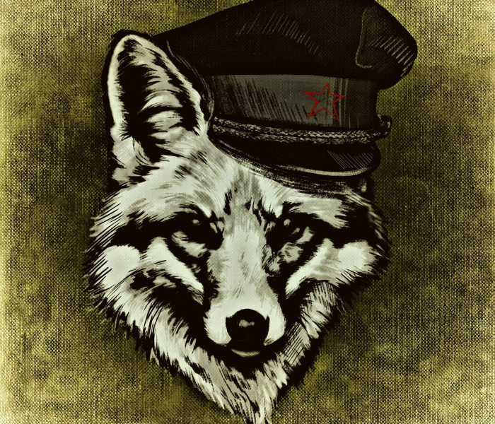 【福特福克斯价格多少/福特福克斯价钱】 【福特福克斯价格多少/福特福克斯价钱】