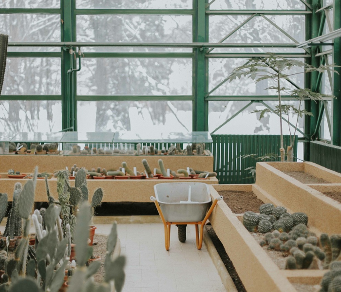 4月10号上海/4月10号上海展会