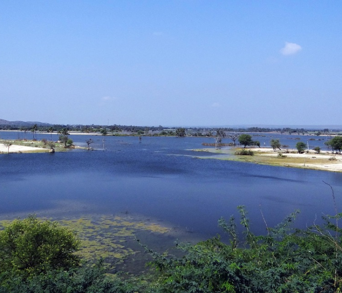 北京顺义4地环境样本检测阳性/北京顺义区环境 北京顺义4地环境样本检测阳性/北京顺义区环境