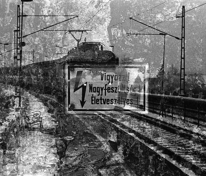 德州市最新疫情情况:德州市最新疫情情况最新消息 德州市最新疫情情况:德州市最新疫情情况最新消息