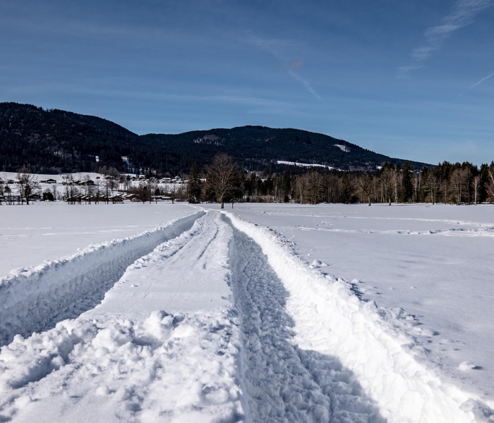 为什么冬天疫情容易爆发:为什么冬天疫情容易爆发的原因