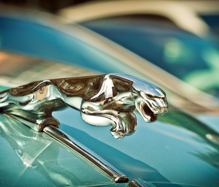 德尔塔毒株是啥:德尔塔毒株啥意思