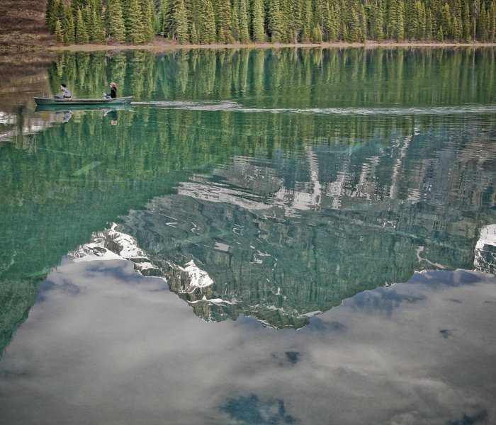 景区接待游客不得超过/景区游客接待上限由各地确定