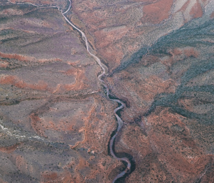 深圳无症状轨迹(深圳新冠无症状感染者轨迹) 深圳无症状轨迹(深圳新冠无症状感染者轨迹)