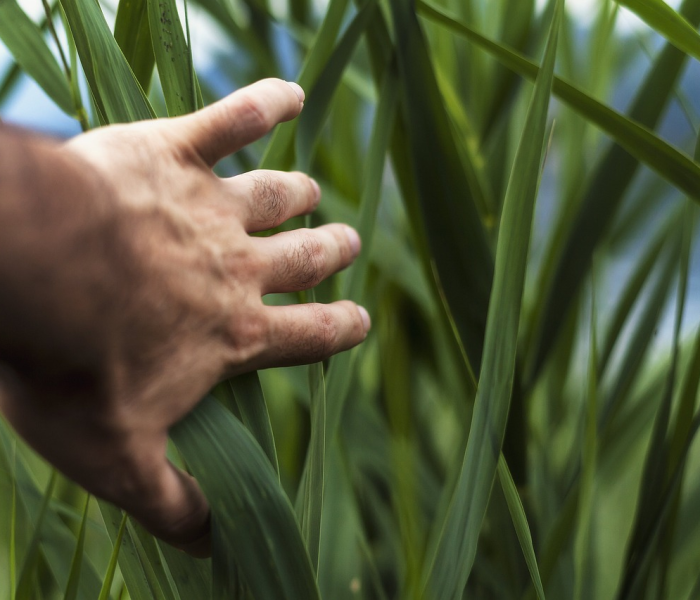 疫情之下高考/疫情之下的高考 疫情之下高考/疫情之下的高考