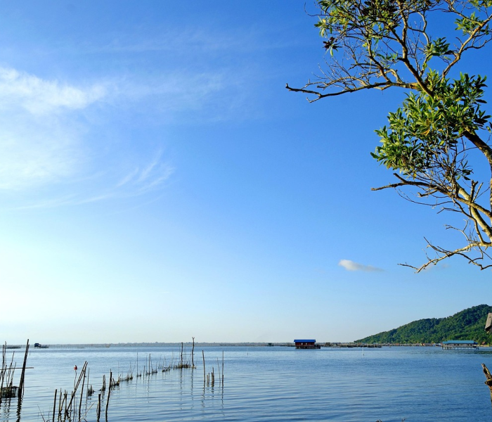 中国新冠最新消息动态(中国新冠最新消息动态数据) 中国新冠最新消息动态(中国新冠最新消息动态数据)