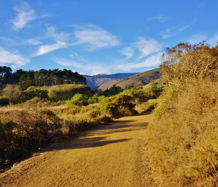 内蒙古疫情高发区/内蒙古疫情重灾区 内蒙古疫情高发区/内蒙古疫情重灾区