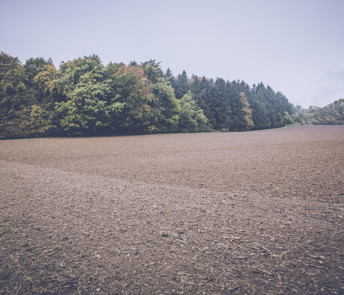 大亚湾疫情最新消息今天/大亚湾疫情最新消息今天新增 大亚湾疫情最新消息今天/大亚湾疫情最新消息今天新增