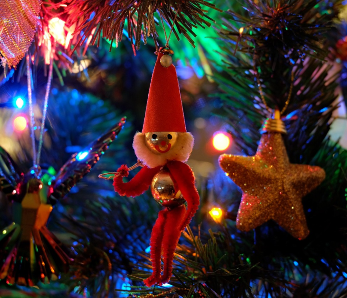 达者为师猜生肖(达者为师打一生肖) 达者为师猜生肖(达者为师打一生肖)