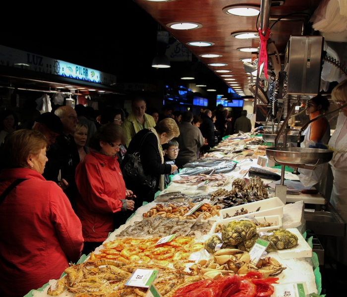 石家庄跳蚤市场开放时间/石家庄最大的跳蚤市场 石家庄跳蚤市场开放时间/石家庄最大的跳蚤市场