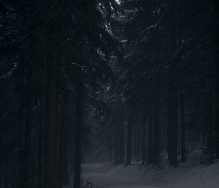 暗黑血统2攻略群山之心守护者在哪/暗黑血统2山岭之心