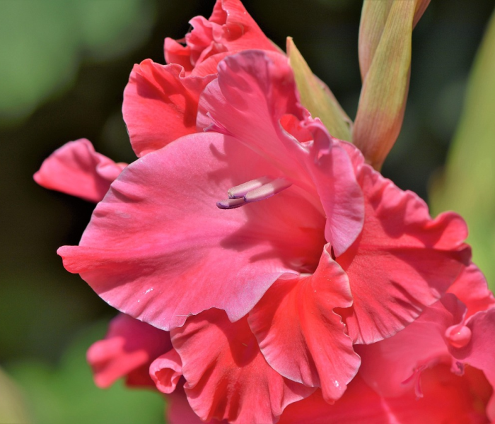 大连疫情最新动态消息/大连疫情最新消息2021年