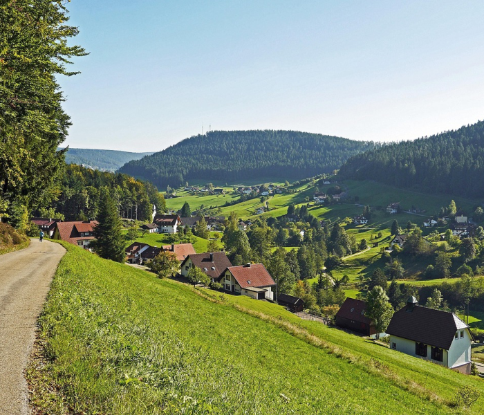 新疆怎么了现在(新疆今年怎么了?为什么人都要离开?) 新疆怎么了现在(新疆今年怎么了?为什么人都要离开?)