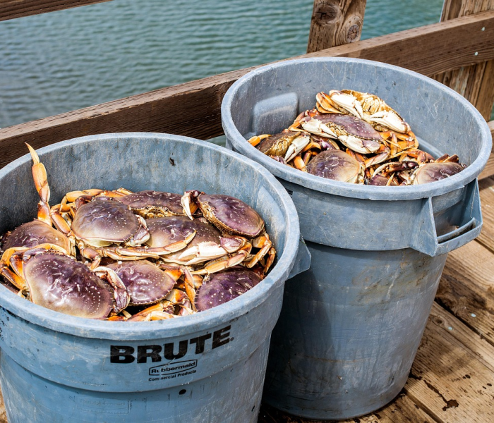 【华南海鲜市场一家4口,华南海鲜市场一家四口】