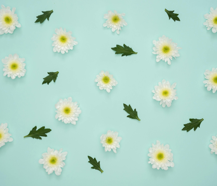 爱眼手抄报的图片怎么画/爱眼手抄报 简单漂亮