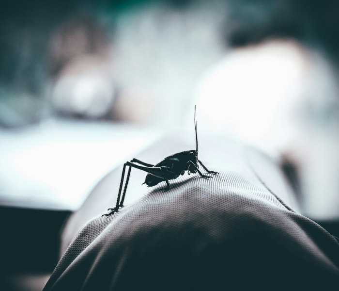 无症状感染者会一直无症状吗会传染吗/无症状感染者一直无症状吗?